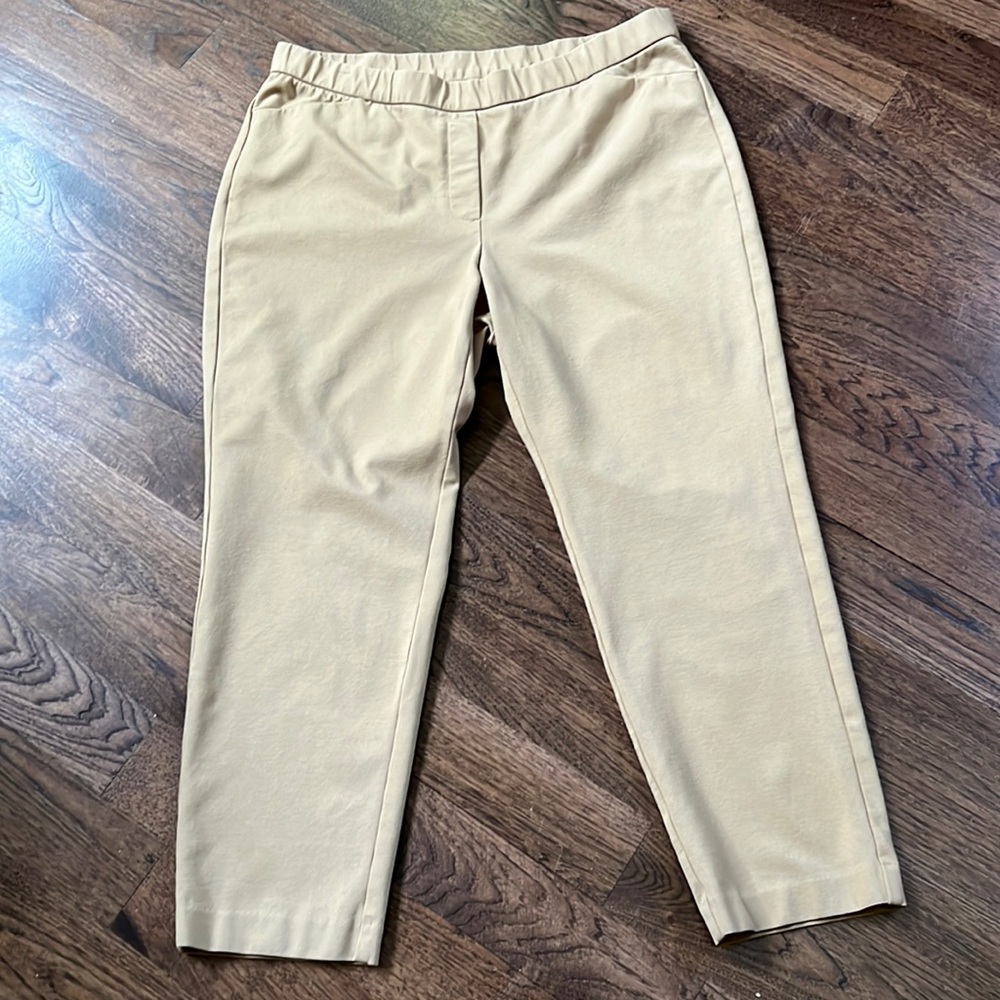 J. Jill Pointe Slim Leg Pull On Camel Tan Pants
